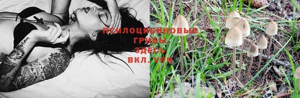 дживик Бутурлиновка