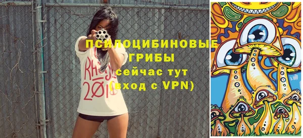 дживик Бутурлиновка
