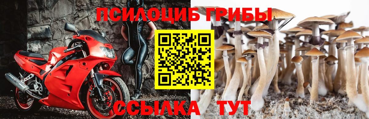 Галлюциногенные грибы MAGIC MUSHROOMS Кропоткин